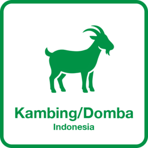 Kambing-1-Indonesia
