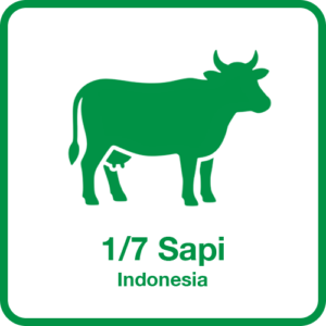 Sapi-1-7-Indonesia