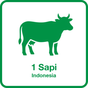 Sapi-1-Indonesia
